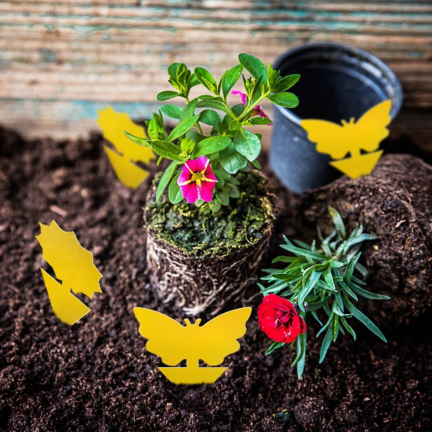 Non-Toxic Yellow Sticky Bug Traps for Indoor and Outdoor Use