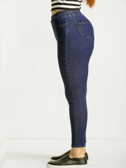 Women's Plus High Stretch Skinny Basic Jeans