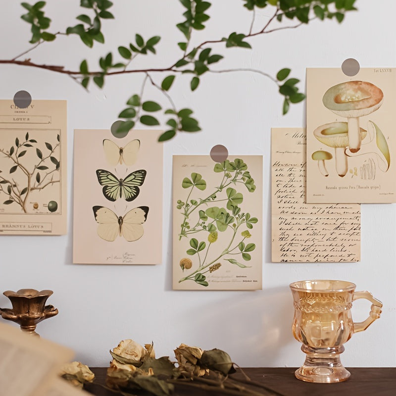30pcs Bio Postcards Botanical Wall Stickers Room Decoration Cards 9 14