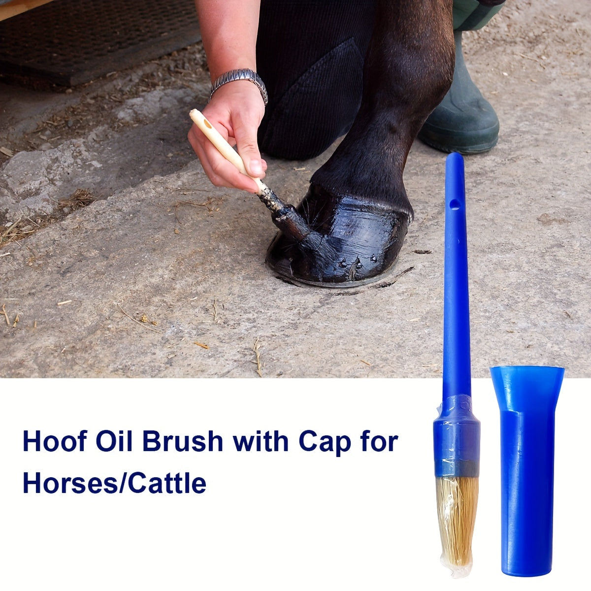 Horses Hoof Brush for Grooming