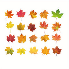 Vintage Maple Leaf Plant Stickers - 40 Sheets Pack PET Material