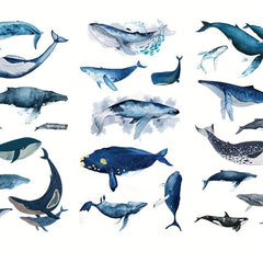 Whale Ocean Animal Stickers for DIY Notebook and Luggage