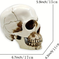 1pc Resin Skull Model Creative Halloween Ornaments