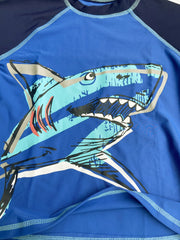 Boys Shark Graphic T-shirt & Trunks Set Swimsuit
