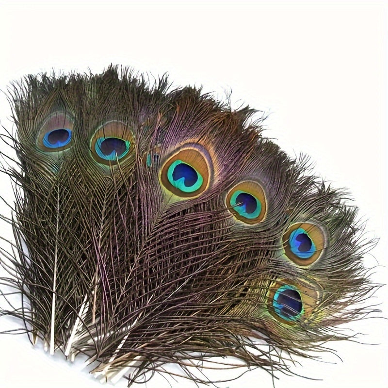 15pcs Peacock Eye Feathers 25-30-48 Cm Holiday Party Table Decorations