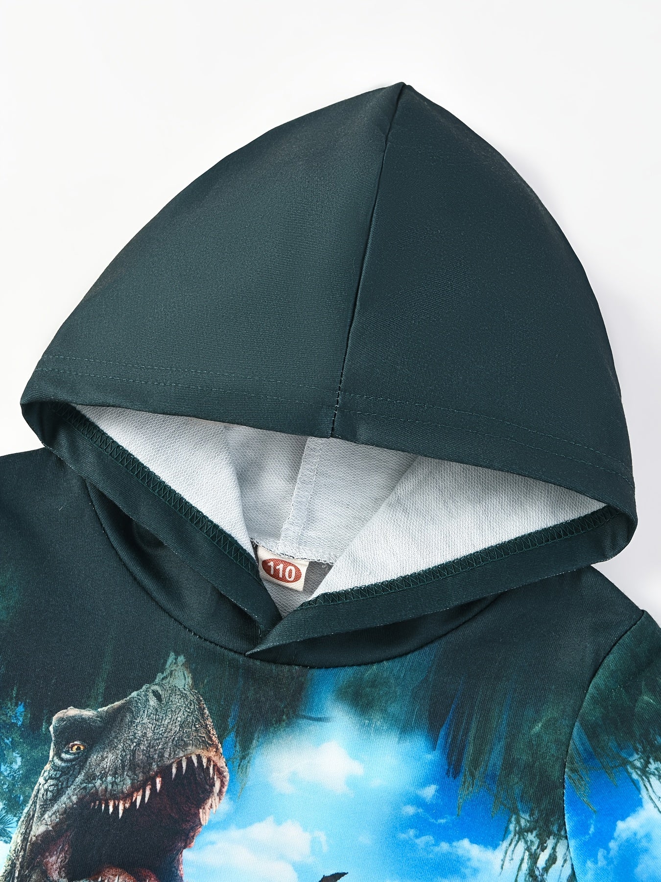 Dinosaur 3D Print Boys Hooded Sweatshirt