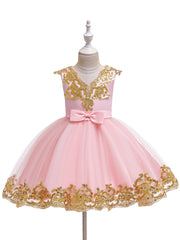 Girls Sequin Embroidery Mesh Princess Dress for Piano Performance Wedding
