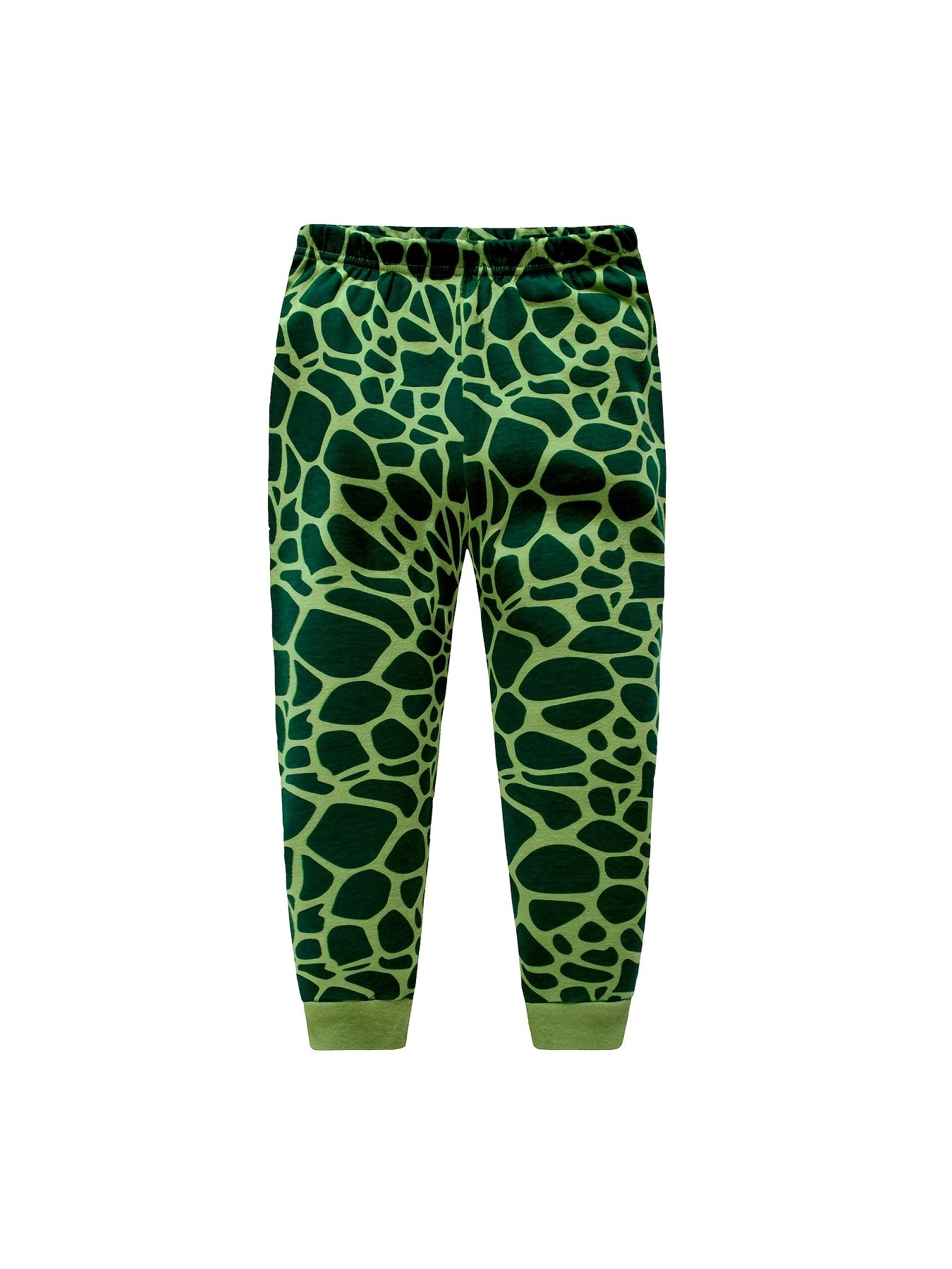 2pcs Boys Dinosaur Pajama Set Crew Neck Loungewear
