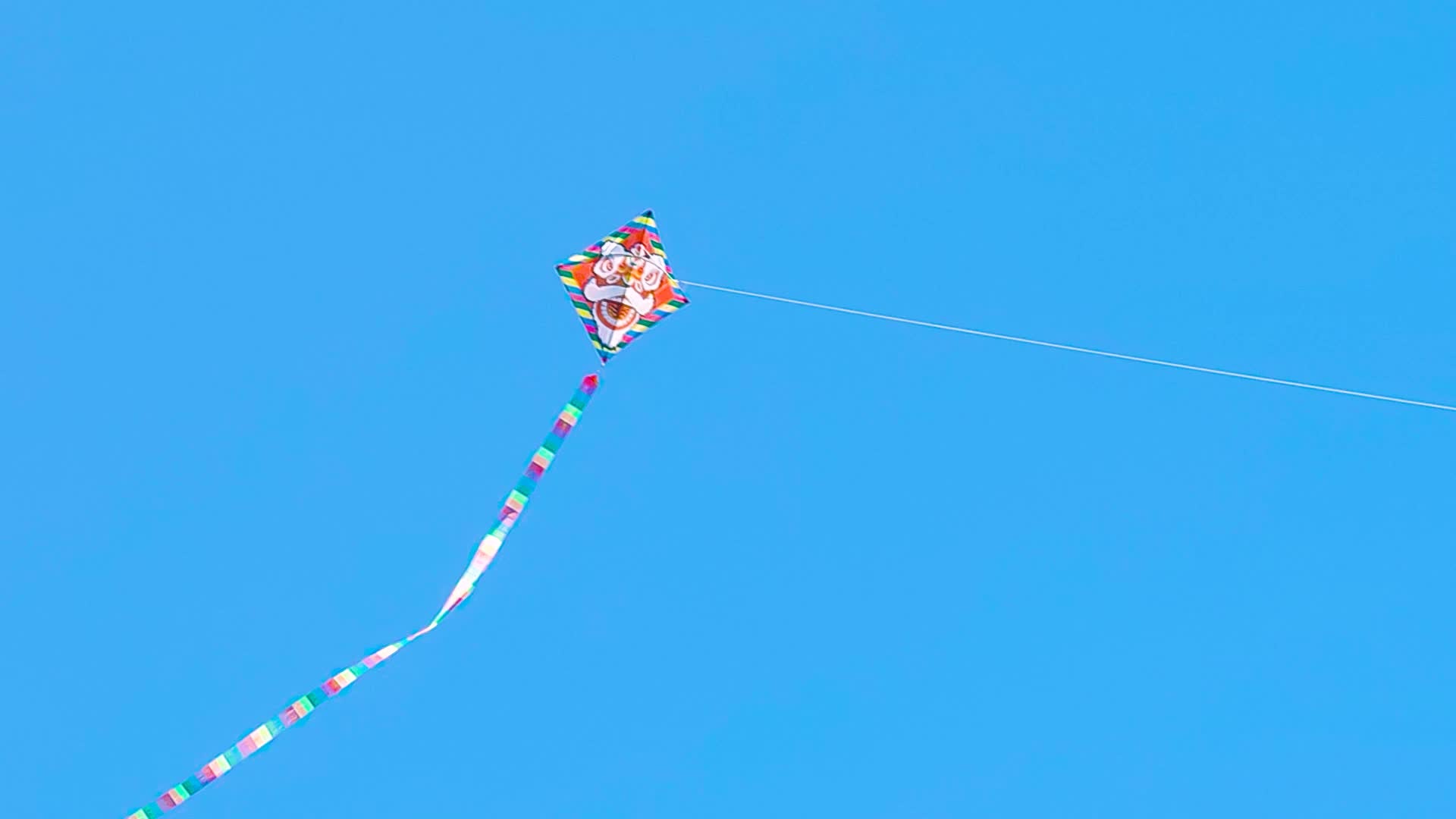 Chinese Lion Kite with 10m Tail