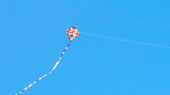 Chinese Lion Kite with 10m Tail