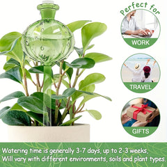 3pcs Cactus Self Watering Planter Insert Glass Plant Watering Globes