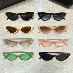 Men's Cat Eye Shape Sunglasses Retro Small Frame Glasses With Glasses Box