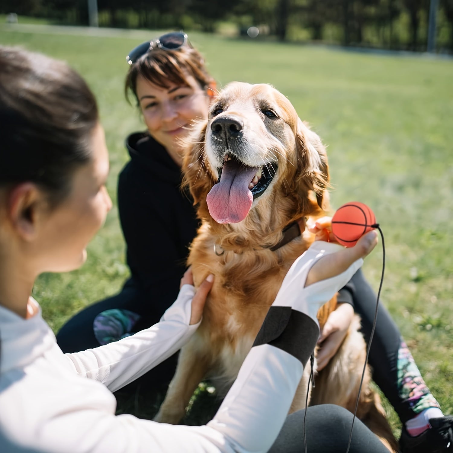 Sports Wrist Ball for Exercise & Training