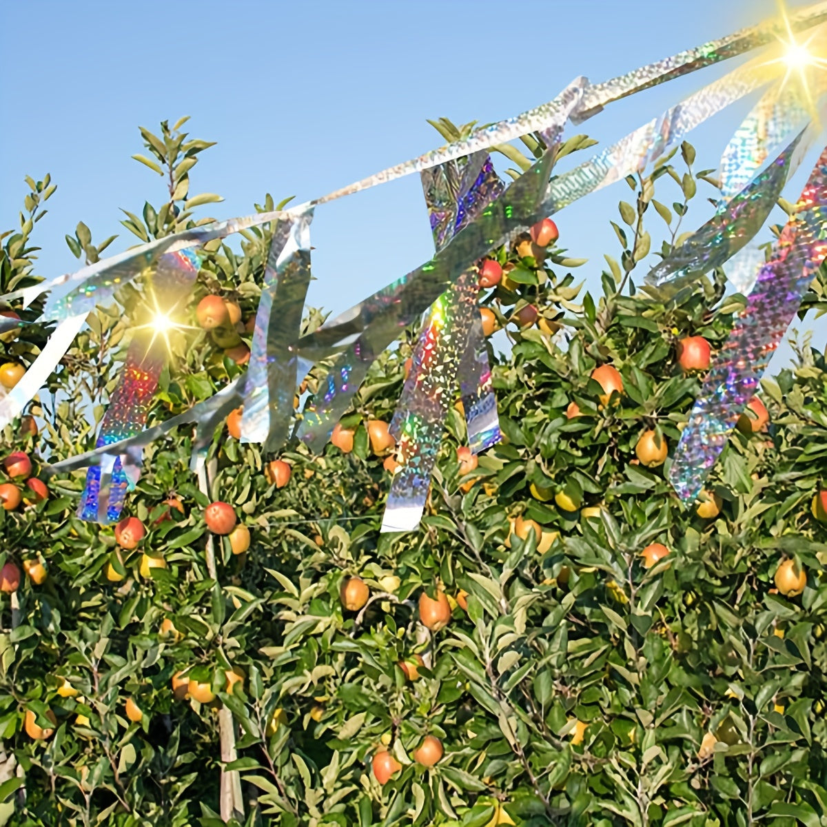 Reflective Bird Repellent Ribbon for Farmland - Double Sided Design