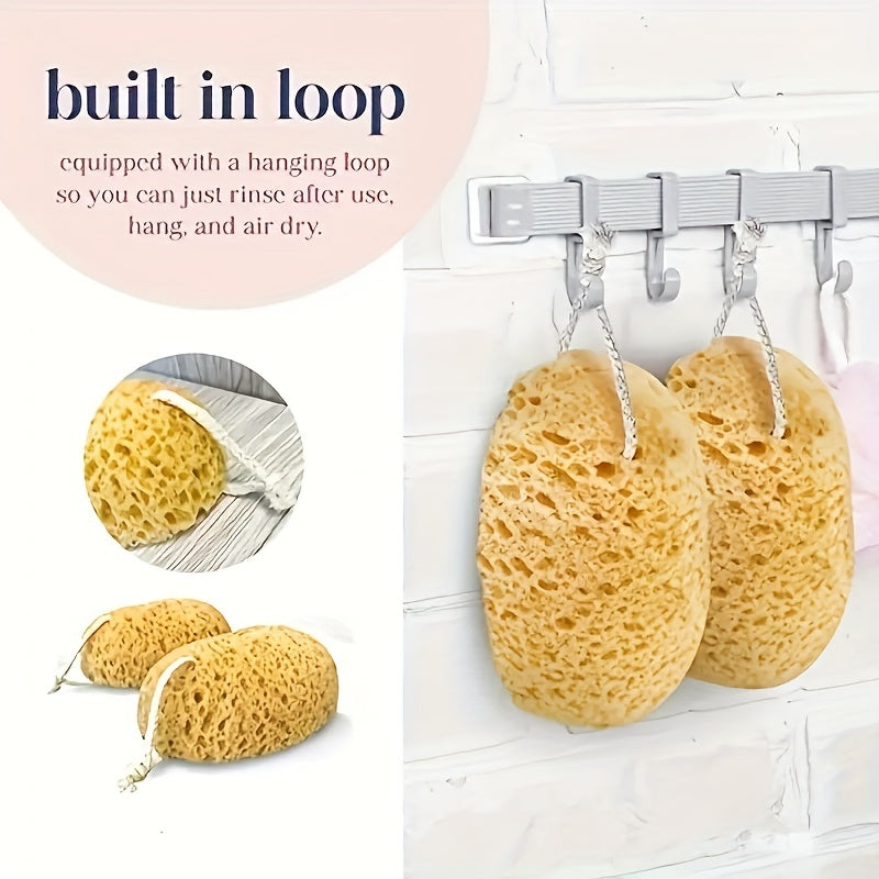 5 Pcs Exfoliating Bath Sponge Natural Seaweed Honeycomb Sponge