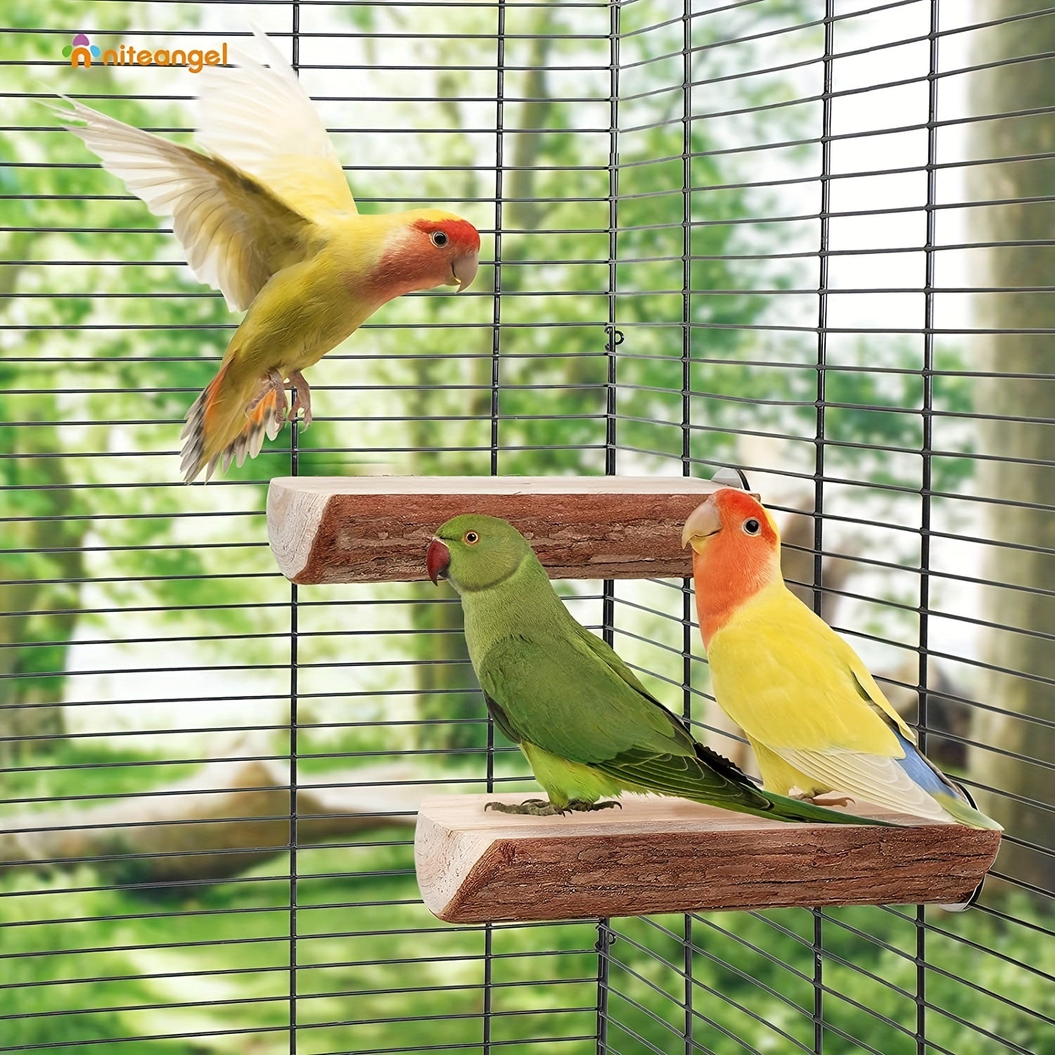 2 Pack Wooden Platform Cage Perches for Birds