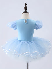 Girls Floral Embroidery Tulle Tutu Mesh Ruffled Sleeve Dance Dress