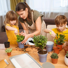 Seed Packet Organizer Garden Seed Storage Protector Clear Pocket