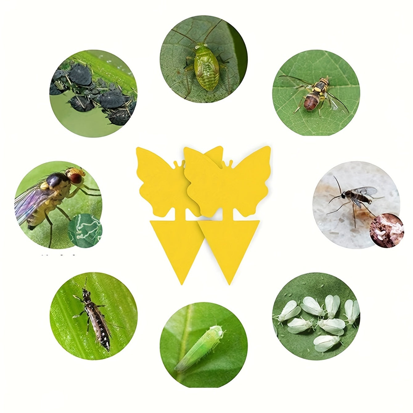 5pcs Yellow Sticky Insect Board Fly Trap for Green Plants
