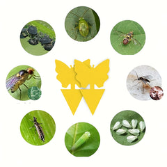 5pcs Yellow Sticky Insect Board Fly Trap for Green Plants