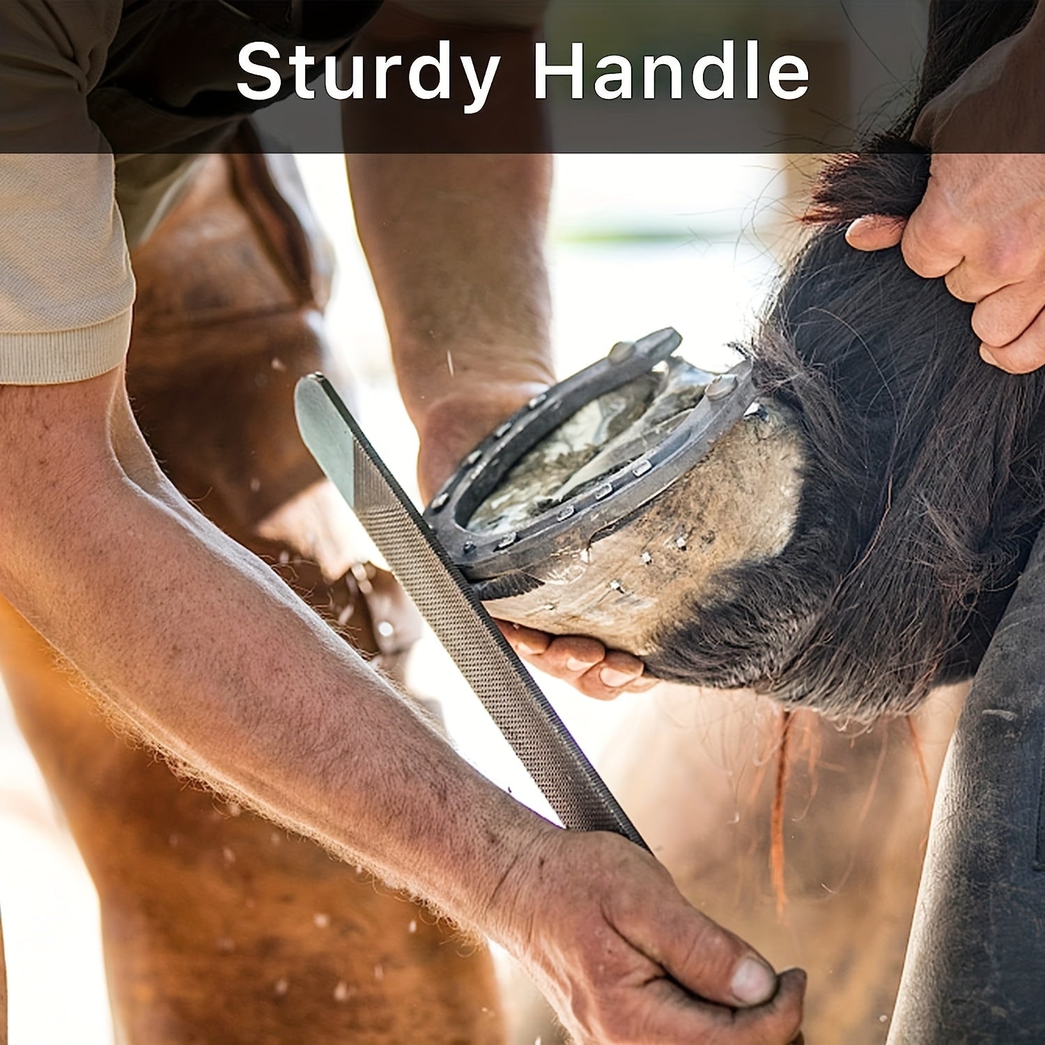Horseshoe File Hoof Trimming and Cleaning Tool
