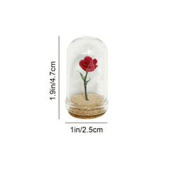 1pc Rose in Glass Dome Decorative Flower Collectible Ornament