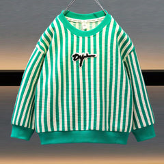 Boys Textured Striped Pullover Sweatshirt Long Sleeve Crew Neck Tops