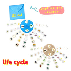 Educational Felt Life Cycle Game Interactive Learning Toy