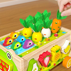 Wooden Educational Toys Frog Fish Pond Farm Shape Sorting Matching Game Car