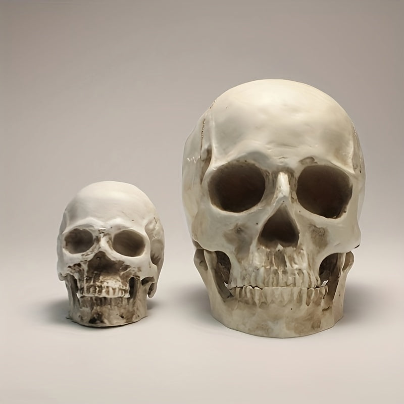 1pc Resin Skull Model Creative Halloween Ornaments