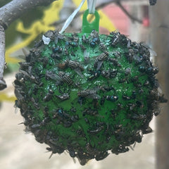 Eco-Friendly Home & Garden Fly Trap