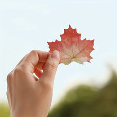 Bright Leaves Sticky Notes 30 Sheets Easy To Post Home Office Notebook