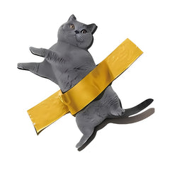 Cat Tape Iron-on Transfer Decal for DIY T-Shirts, Hoodies, Pillows, Backpacks