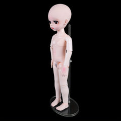 5pcs Transparent Doll Stand Display Holder For 11''-18'' Dolls