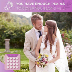 Double Sided Magnetic Bridal Veil Weights with Velvet Bag