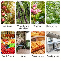 Pumpkin Shape Sticky Fly Trap Ball Outdoor Pest Control