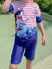 2pcs Boys Teen Shark Graphic Tshirt & Shorts Swimsuit For Summer Holiday