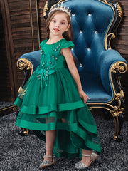 Girls Mesh Flower Embroidered Princess Dress Party Performance