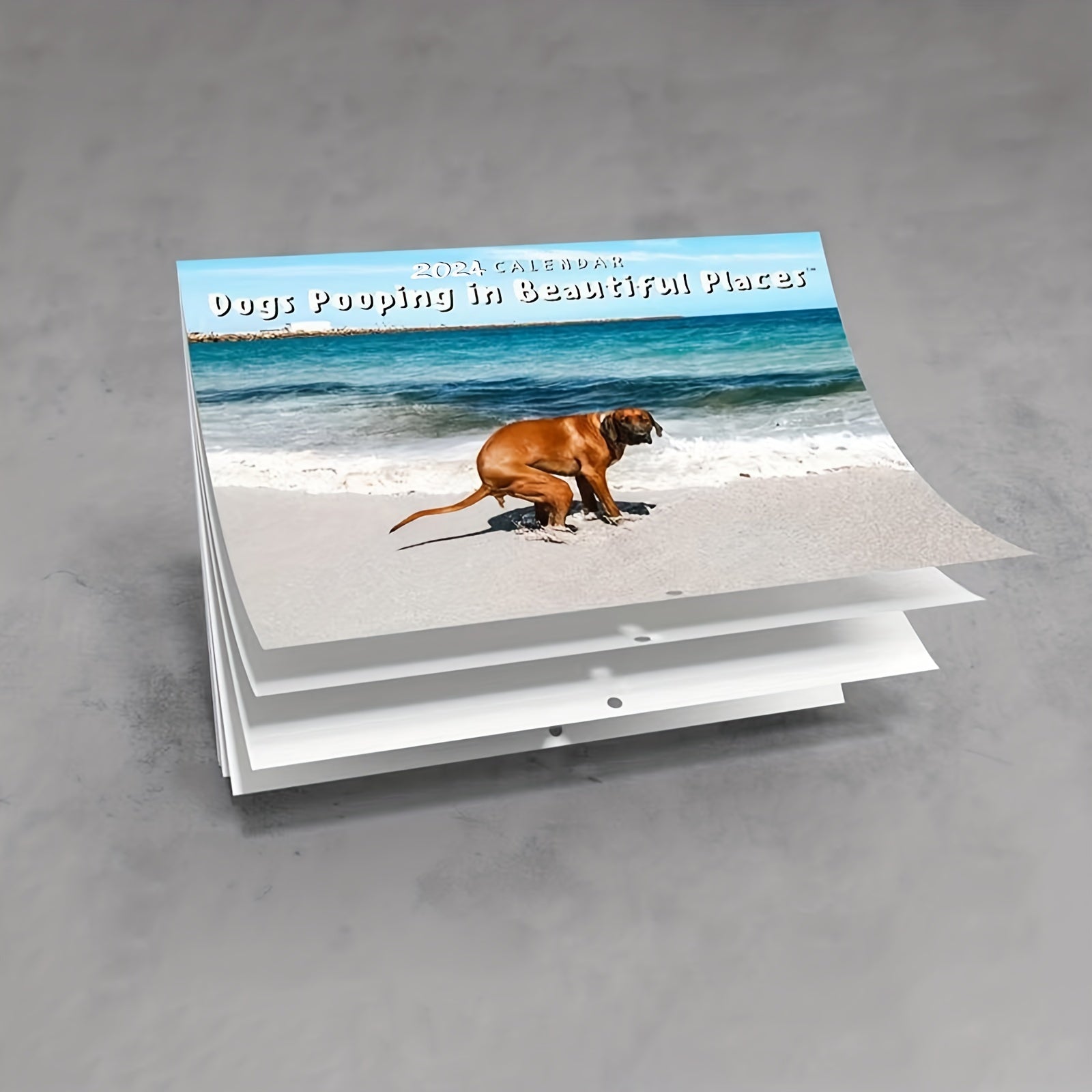 1pc Dog Poop Calendar Funny 2022 Wall Calendar