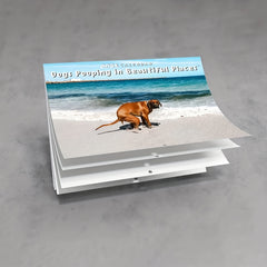 1pc Dog Poop Calendar Funny 2022 Wall Calendar