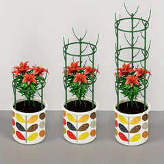 Versatile Plant Fixed Rattan Climbing Bracket Monthly Rattan Climbing Rack