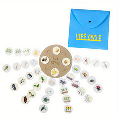 Educational Felt Life Cycle Game Interactive Learning Toy