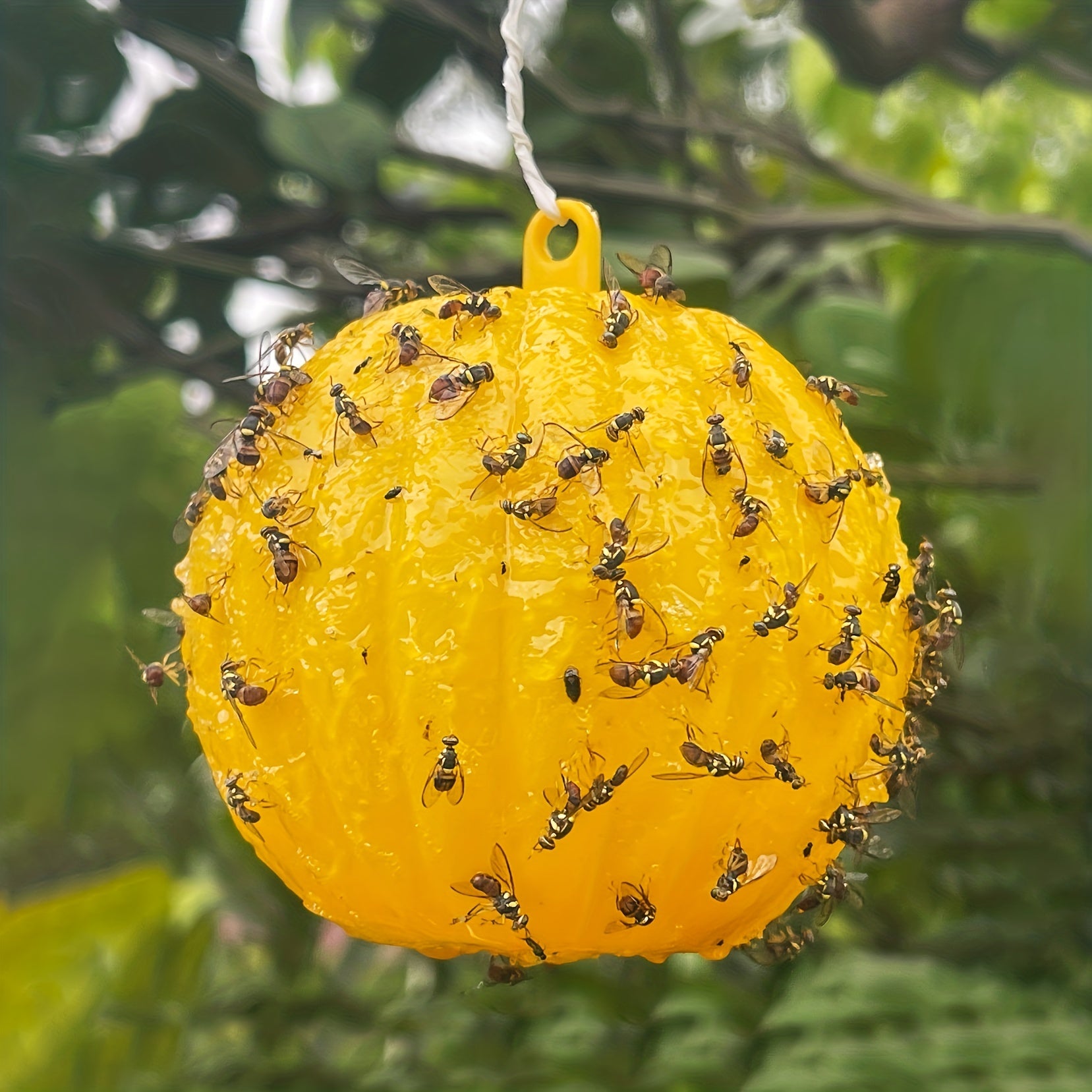 Pumpkin Shaped Fly Trap Ball for Your Garden