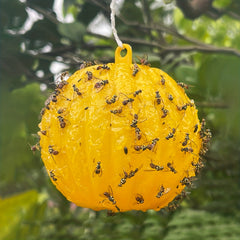 Pumpkin Shaped Fly Trap Ball for Your Garden
