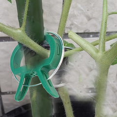 20pcs Plant Grafting Clips - Greenhouse Clamp Fastener Bracket