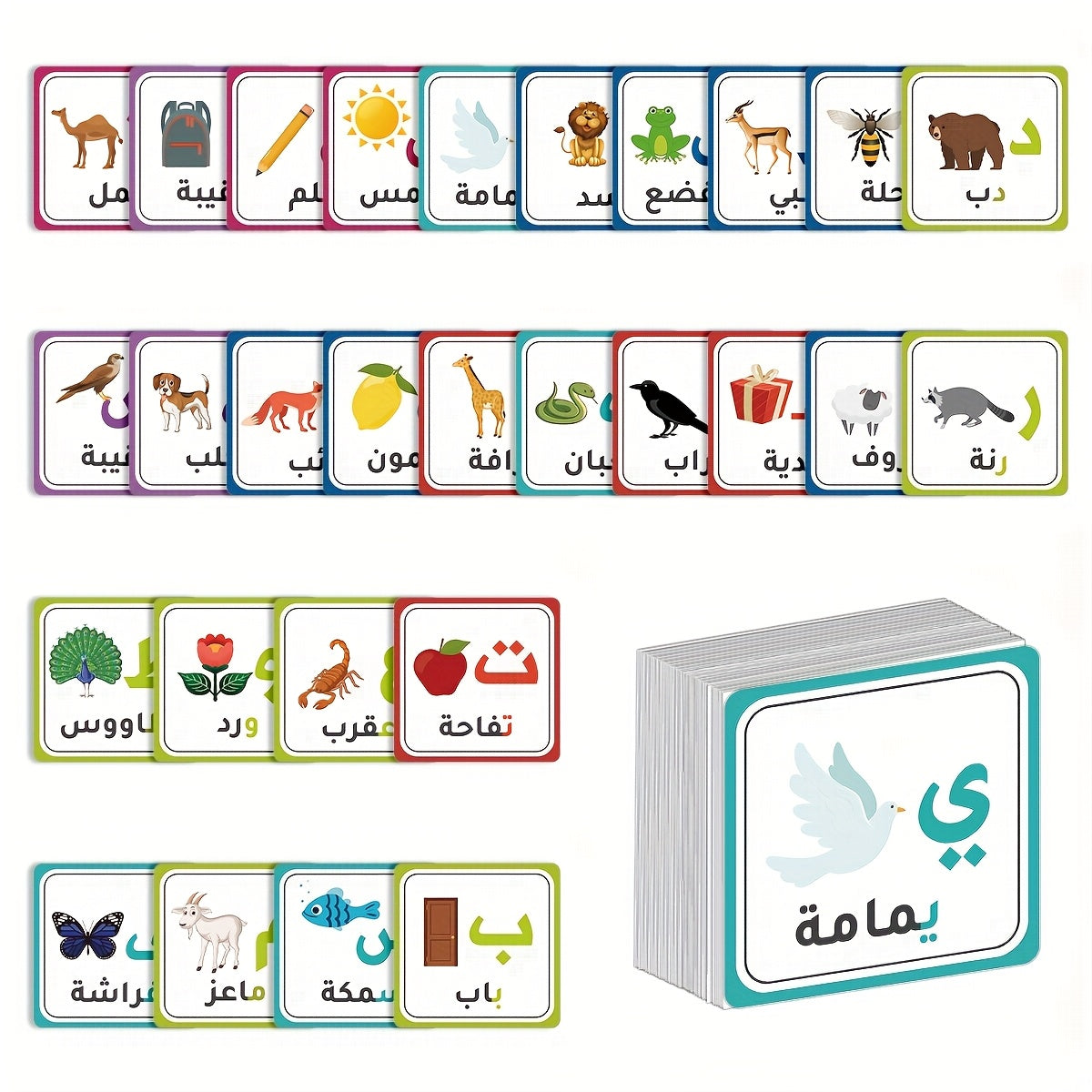 Arabic Alphabet Flashcards with Colorful Illustrations