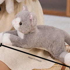 Plush Gray Kitten Pillow Simulation Cat Doll Pet Toy Decoration