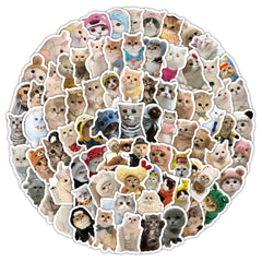 100pcs Kitten Sticker Pack for Laptops Phones Scrapbooks Water Bottles