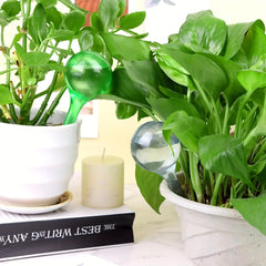 5pcs Globular Self Watering System for Plants