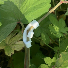 10pcs Plant Bender 90 Deg Auxiliary Tool Plant Training Workmanship